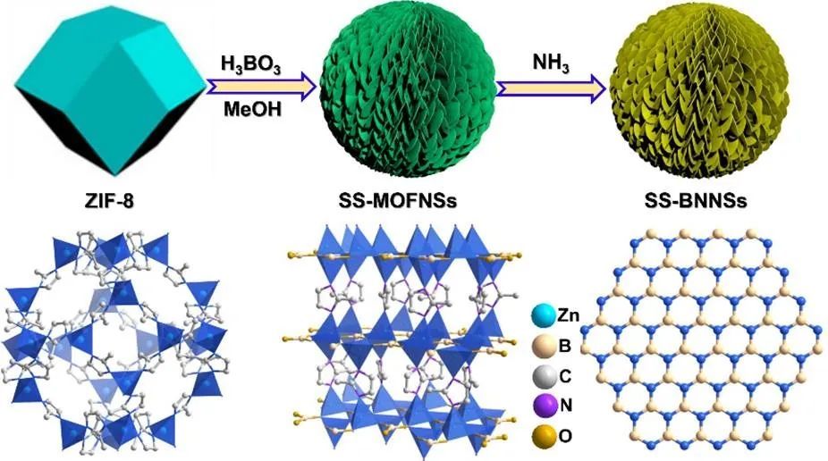 jacs:含硼金属有机框架化合物衍生的球形超结构氮化硼纳米片