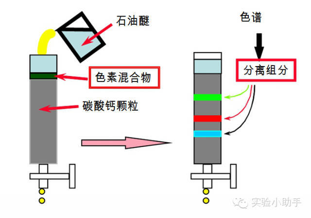 第一部分 色谱基础知识 2,色谱定义 色谱法:利用组分在两相间分配